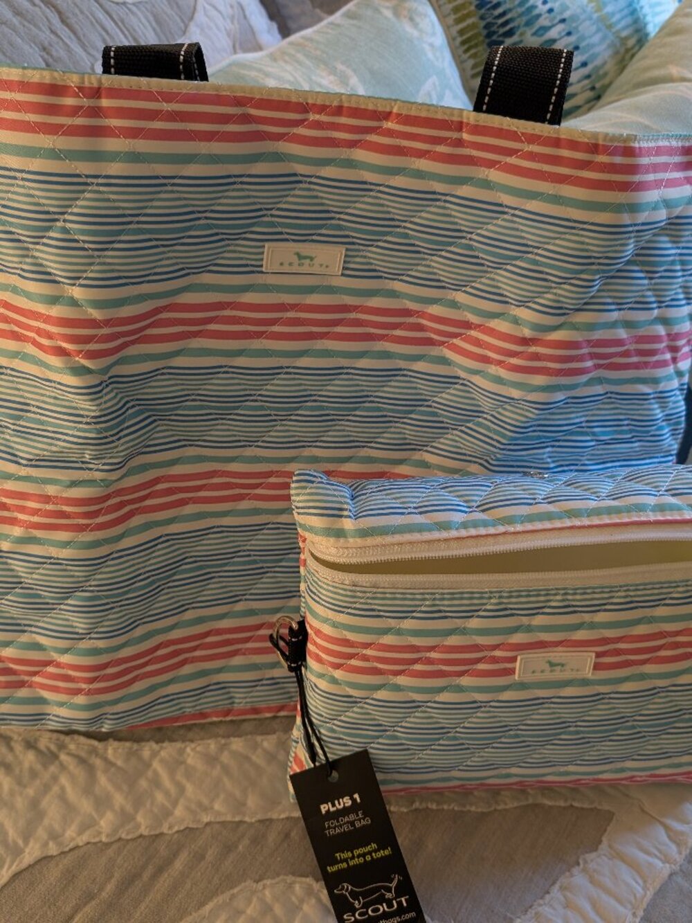 SCOUT 2-in-1 Tote & Pouch Set NWT (color is called Pool Mccartney)